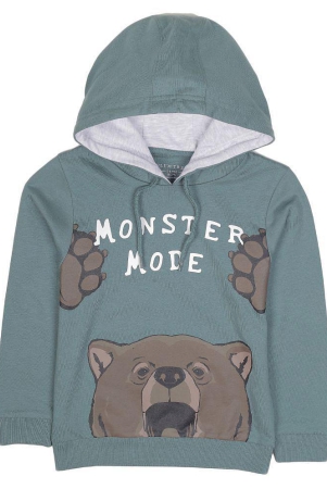 plum-tree-boys-hoodie-sweatshirt-green-none