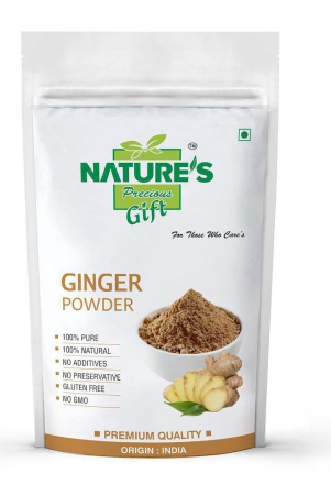 natures-gift-100-gm-dry-ginger-pack-of-1