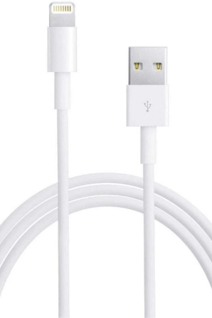 Lapster Fast Iphone Charger Cable & Data Sync USB Cable - 1 Piece