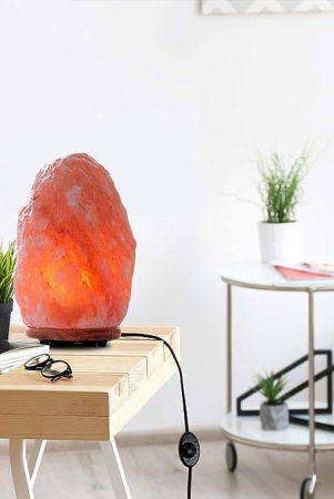 Natural Rock Shape Himalayan Salt Lamp - Medium