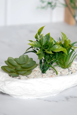 anko-succulents-in-bowl-planter-for-indoor-use-home-office-garden-balcony-coastal-decor-green-white-19cm-l-x-11cm-h-x-105cm-w-anko-succulents-in-bowl-indoor-planter-home-office-gar