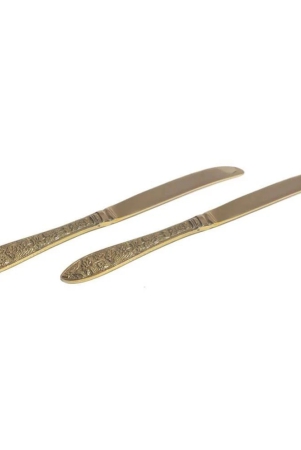 a-h-enterprises-brass-brass-table-knife-pack-of-2-brass