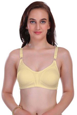 eves-beauty-full-coverage-women-lightly-padded-bra-32d-skin-cotton-blend