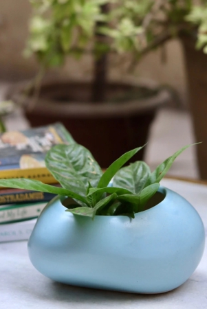 blue-pebble-planter-set-of-four