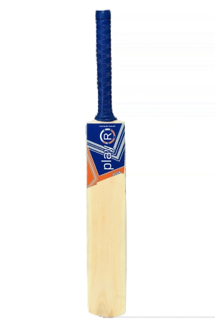 flick-tennis-4-orange-popular-willow-bat