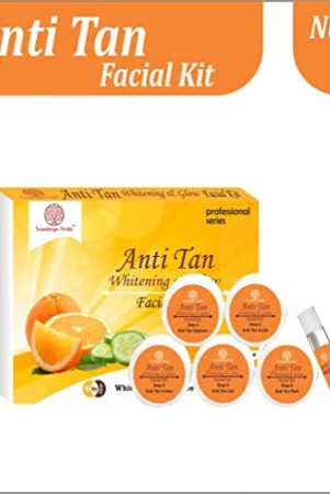 soundarya-herbs-anti-tan-skin-whitening-glow-facial-kit-140g