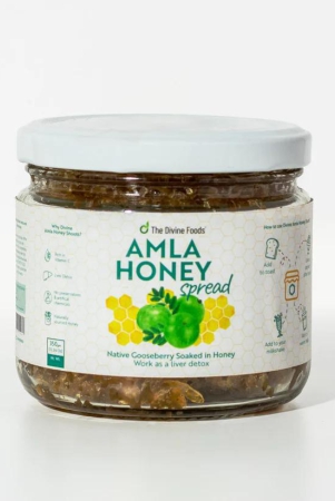 amla-honey-spread-for-controlling-blood-sugar-levels-350-grams