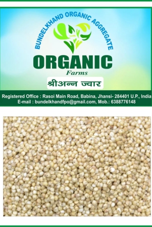 organic-millets-jwar