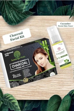 soundarya-herbs-facial-kit-140gm-with-free-100ml-cucumber-toner-achieve-a-radiant-glow-charcoal-facial-kit