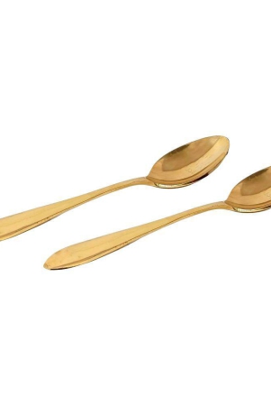 a-h-enterprises-brass-brass-table-spoon-pack-of-2-brass