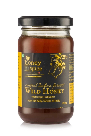 central-indian-wild-honey-250gm