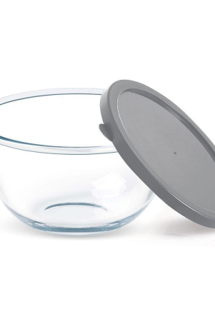 Treo By Milton 500 Ovensafe Mixing Borosilicate Glass Bowl with Quick Lid, 1 Piece, 510 ml, Transparent | Microwave Safe | OTG Safe | Freezer Safe | Dishwasher Safe - Transparent