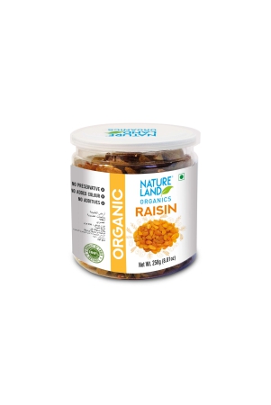 raisins-250-gm