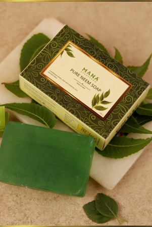 pure-neem-soap