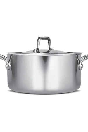 milton-pro-cook-triply-stainless-steel-casserole-with-lid-20-cm-3-litre-silver-silver