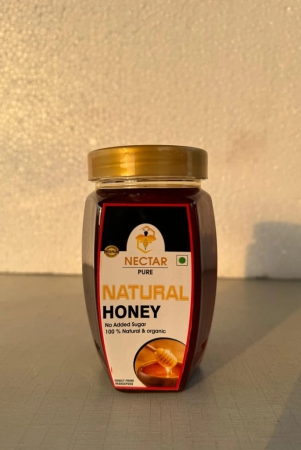 nectar-pure-natural-honey-500g