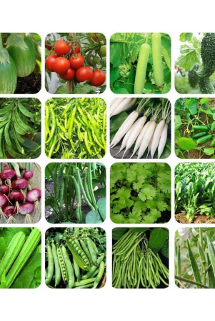 16-variety-500-seeds-of-vegetable-seeds-combo-with-instruction-manual