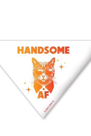 pawsindia-cat-bandana-handsome-x-small