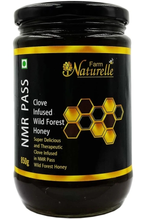 farm-naturelle-raw-100-natural-nmr-tested-pass-certified-super-delicious-and-therapeutic-clove-infused-in-wild-forest-honey-850-gram-glass-bottle