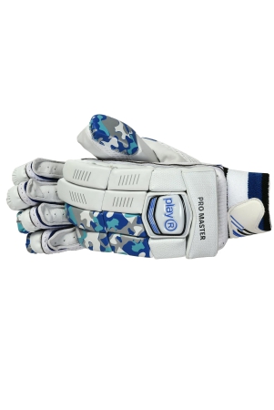 pro-master-batting-gloves-right-hand-whiteblue-leather