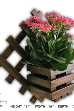 wall-mounted-planter-square-single