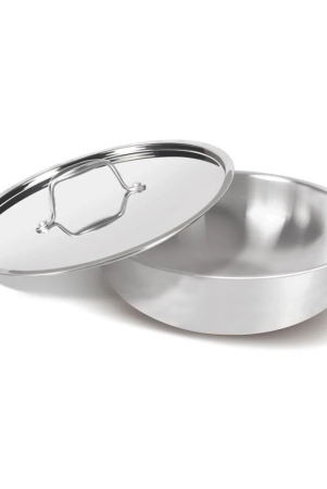 milton-pro-cook-triply-stainless-steel-tasla-with-lid-20-cm-16-litre