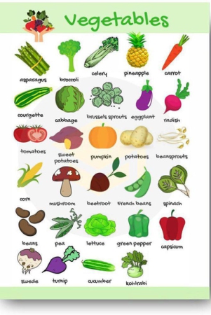 photojaanic-vegetables-poster-perfect-for-kindergarten-nursery-and-homeschooling-16x12inc-300gsm-thick-paper-gloss-laminated-multicolor