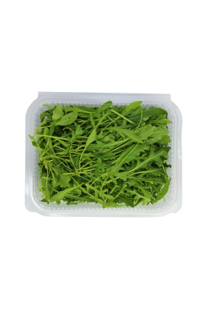 arugula-50-gms