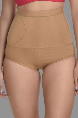 Madam - Beige Spandex Womens Shaper Brief ( Pack of 1 ) - None