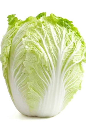 namdhari-cabbage-chinese-1-kg