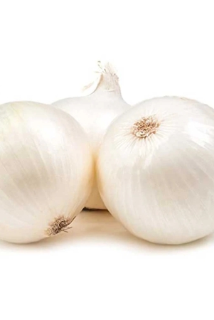 otp-onion-white-1-kg