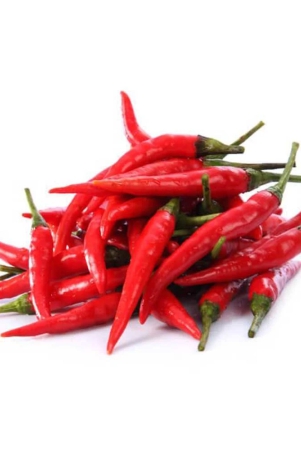 chillies-peppers-chilli-red-pb-100-gm