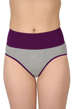 madam-purple-panty-nylon-solid-womens-hipster-pack-of-1-none