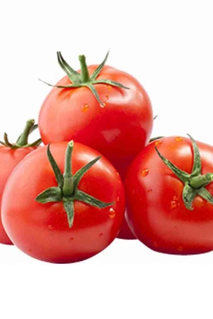 otp-tomato-premium-salad-1-kg