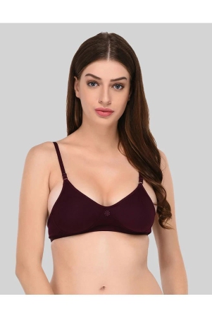 Elina Cotton Non Padded Womens T-Shirt Bra ( Purple ) - 40B