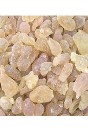 boswellia-guggal-guggul-indian-frankincense-olibanum-burseraceae-aromatic-100-grams-padmavathi-enterprises