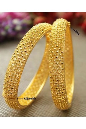 vighnaharta-traditional-wear-adjustable-1gm-gold-plated-alloy-bangle-kada-tode-for-women-and-girls-pack-of-2-pcs-bangle-vfj1015bg2-6-none