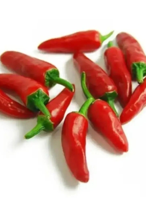 thai-bird-eye-fresh-chilli-100-gms