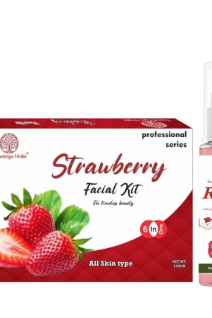 soundarya-herbs-facial-kit-140gm-with-free-100ml-rose-toner-achieve-a-radiant-glow-strawberry-facial-kit