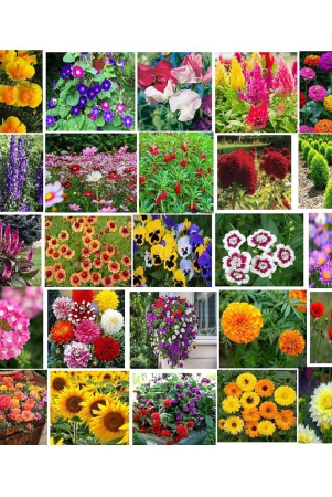 global-store-mixed-flower-1000-seeds-