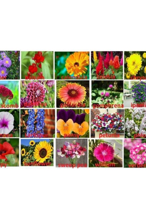 only-for-organic-20-flower-seeds-1200-seeds-and-instruction-manual