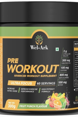 wel-ark-pre-workout-300-gm