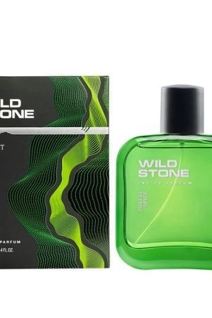 wild-stone-forest-spice-eau-de-parfum-100-ml-for-men