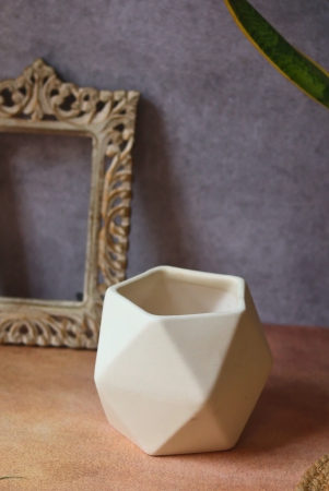 white-hexagon-planter