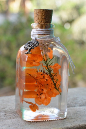 Tangerine Beaut Preserved Flower Tabletop-None