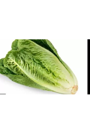 lettuce-romaine-150-gms