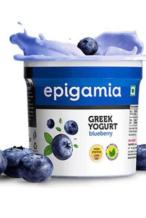 epigamia-blueberry-yogurt-90-gm