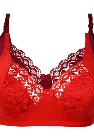 kiran-enterprises-cotton-minimizer-bra-red-none