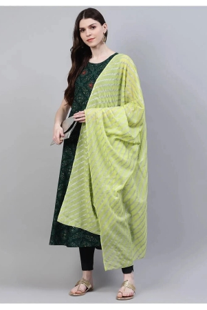 stylum-green-rayon-womens-a-line-kurti-l