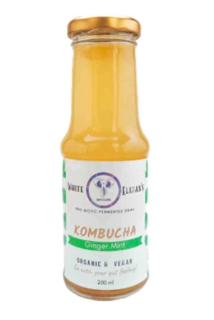 auora-kombucha-white-elefan-white-elefan-kombucha-ginger-mint-200-ml